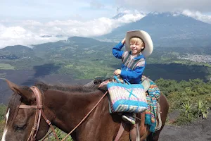Guatemalan Horse Tours image