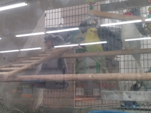 Pet Supply Store «Blackwinds Pet Supplies», reviews and photos, 2494 Military Rd, Niagara Falls, NY 14304, USA