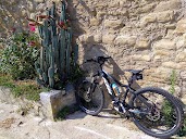 CICLOS i2 bicicletas en Bergara