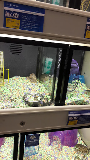 Pet Supply Store «PetSmart», reviews and photos, 2525 W Wheatland Rd, Dallas, TX 75237, USA