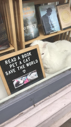 Book Store «Sleepy Cat Books», reviews and photos, 39 Moraga Way, Orinda, CA 94563, USA