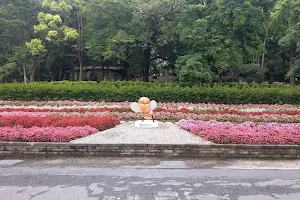 Dongshi Forest Garden image