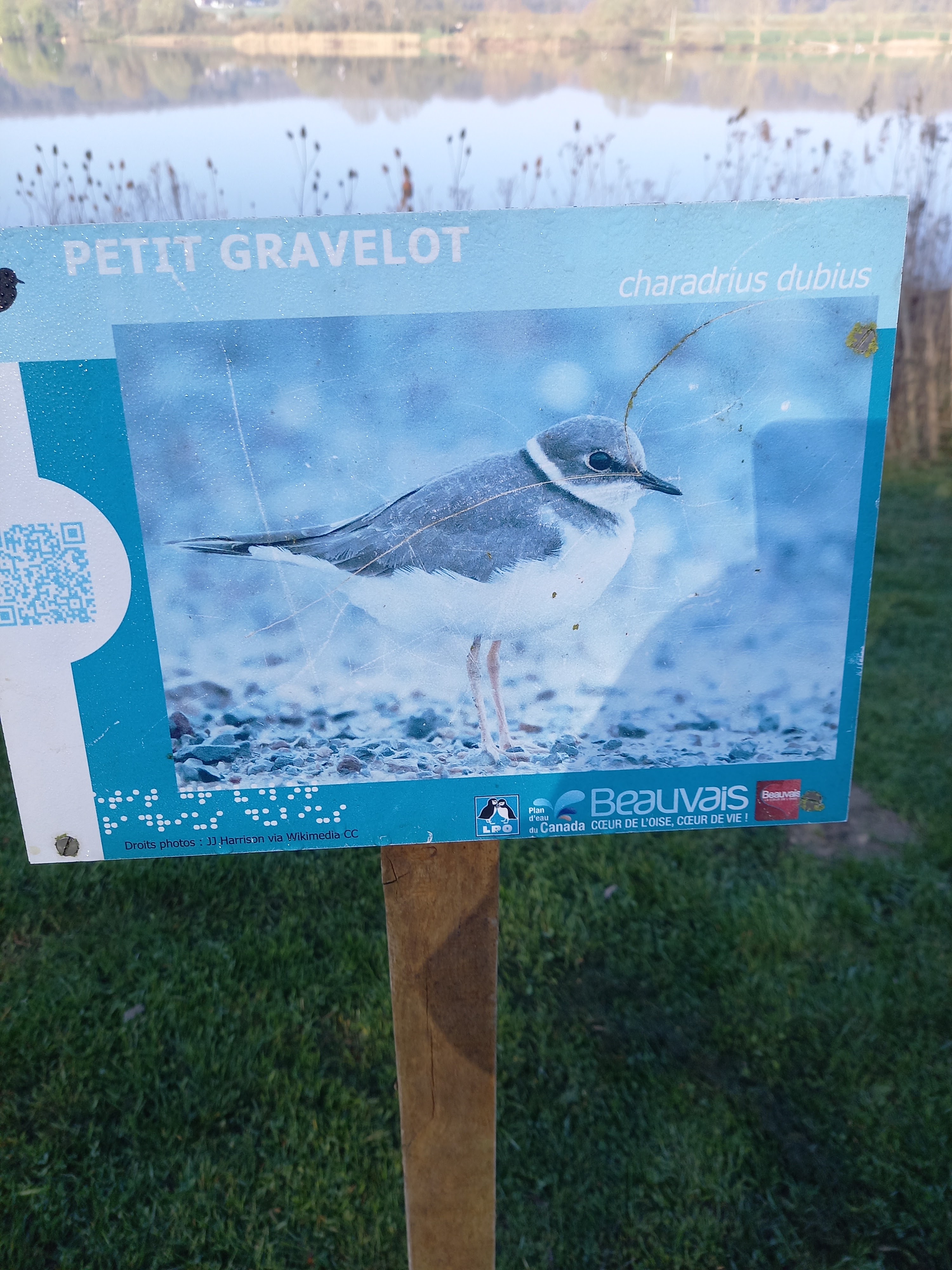 Photo n° 14 de l'avis de Tournois.u fait le 27/03/2022 à 08:41