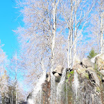 Photo n°2 de l'avis de Luise.r fait le 13/11/2022 à 19:28 sur le  Radau-Waterfall à Bad Harzburg