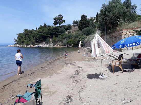 Pelitkoy Icmeler