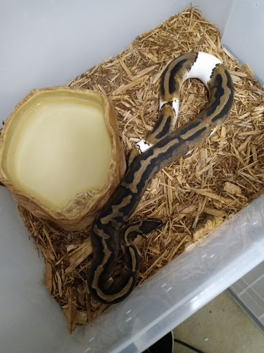 Pet Supply Store «Pet Den», reviews and photos, 1209 Nederland Ave, Nederland, TX 77627, USA