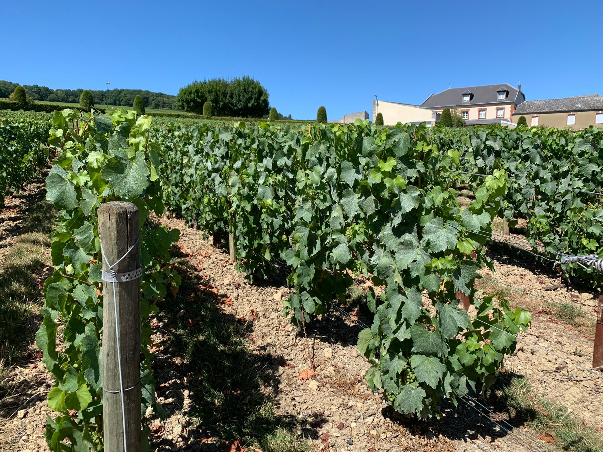 Photo n° 1 de l'avis de Maxime.v fait le 22/08/2020 à 10:47