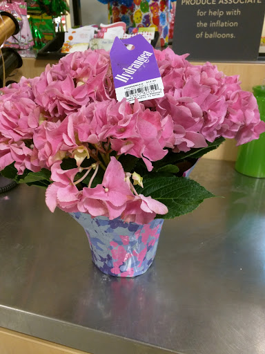 Supermarket «Publix Super Market at Midway Shopping Center», reviews and photos, 4900 Atlanta Hwy, Alpharetta, GA 30004, USA