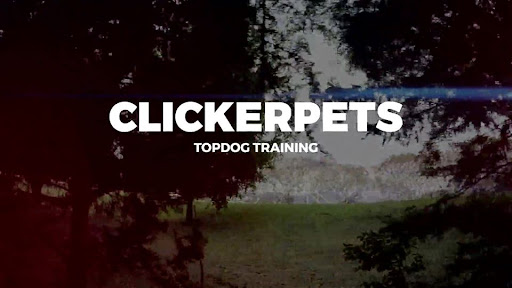 ClickerPets Mexico