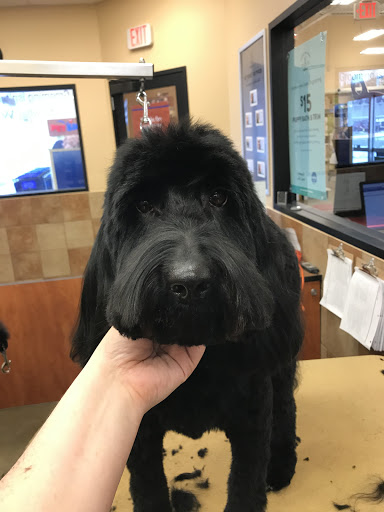 Pet Supply Store «PetSmart», reviews and photos, 476 Corwin Nixon Blvd, South Lebanon, OH 45065, USA