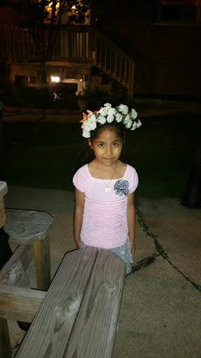 Park «Pasteur Park», reviews and photos, 5825 S Kostner Ave, Chicago, IL 60629, USA