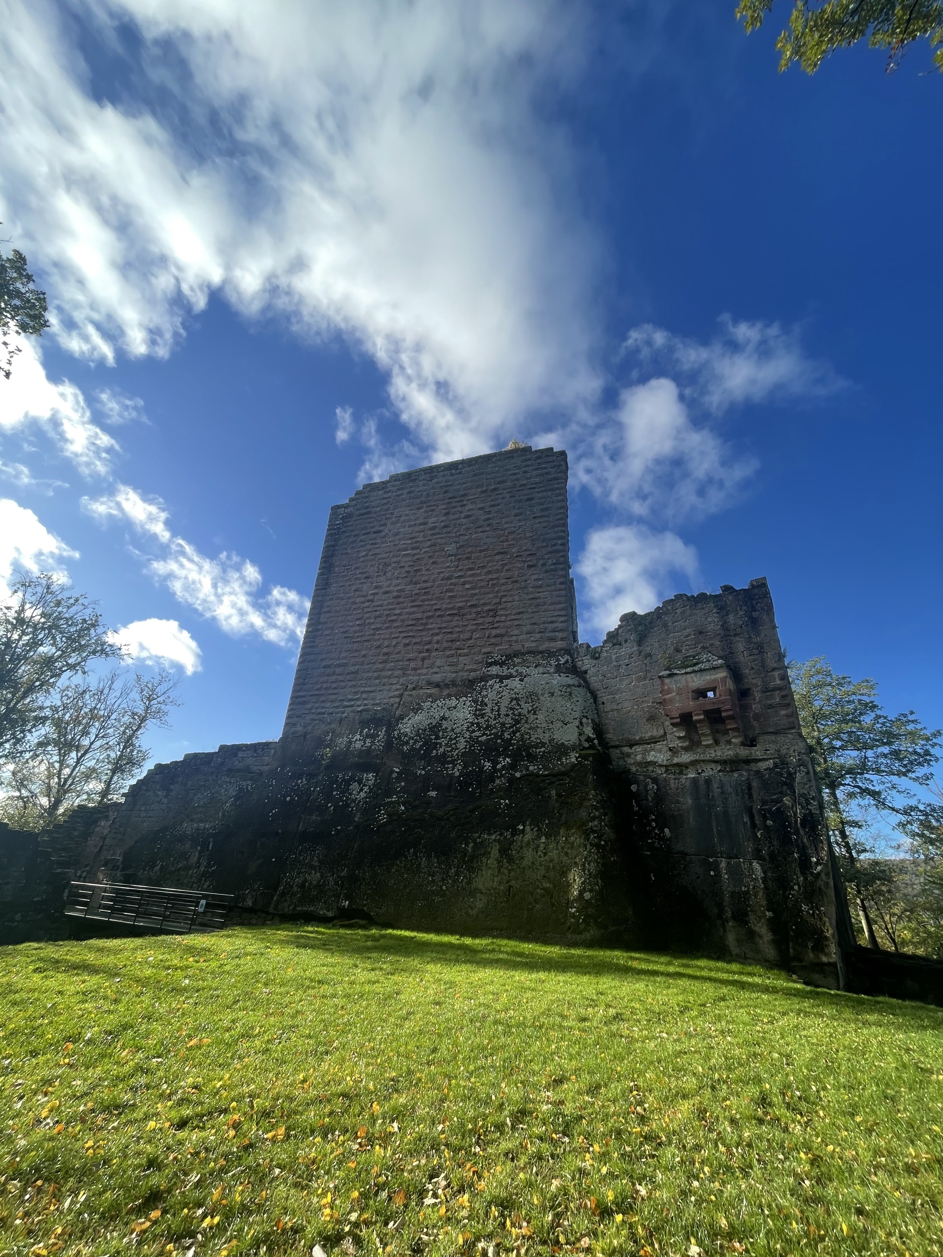 Photo n° 5 de l'avis de Chloé. fait le 25/10/2023 à 21:31
