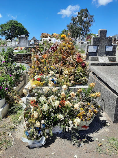 Cementerio General De Concepción