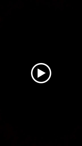 Park «Pigeon Point Park», reviews and photos, 1521 Pigeon Point Rd, Beaufort, SC 29902, USA