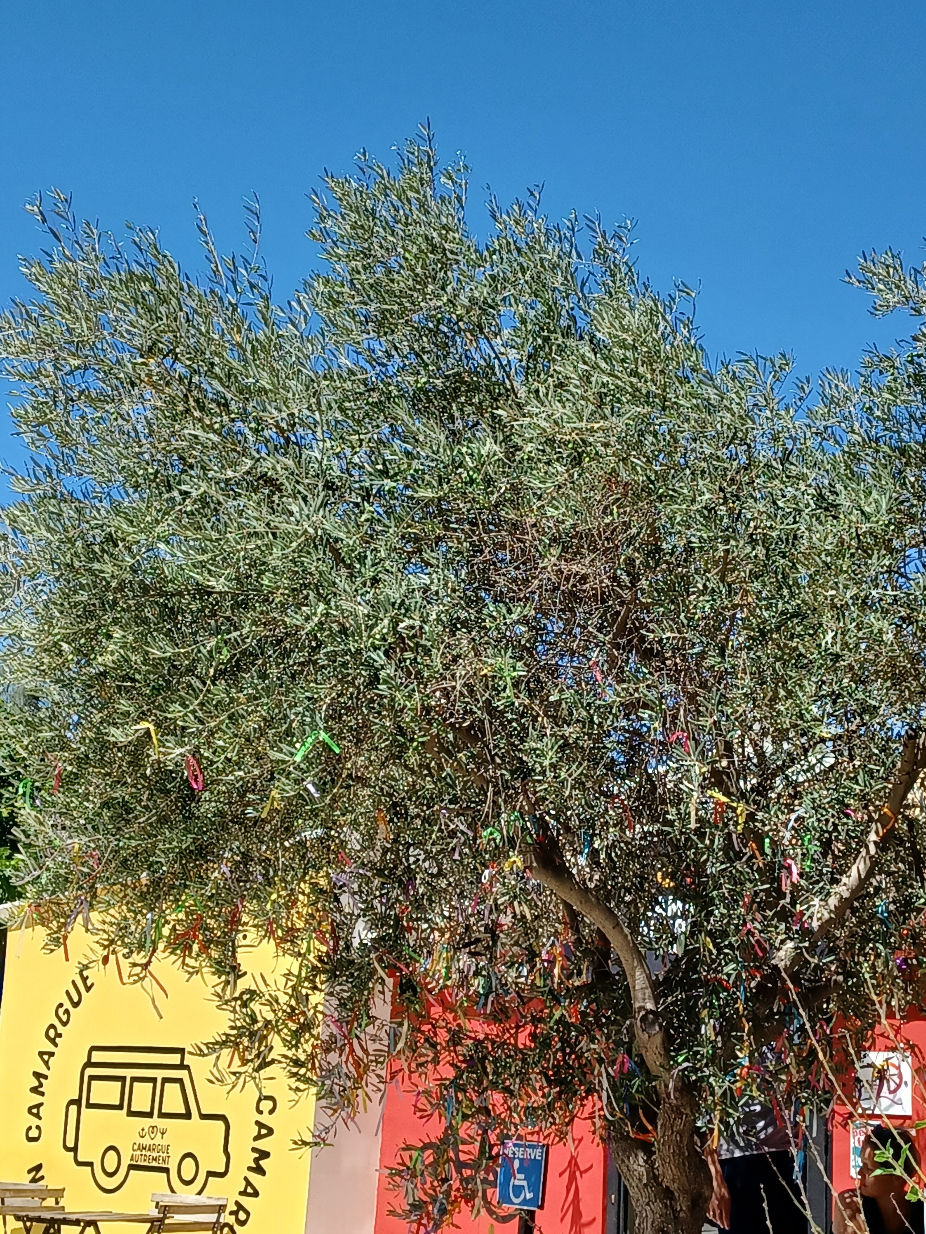 Photo n° 2 de l'avis de Christi. fait le 23/08/2022 à 16:27