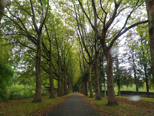 Cimetière Schoonselhof