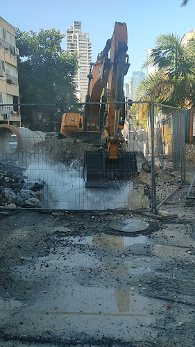 בי"ס גבעולים