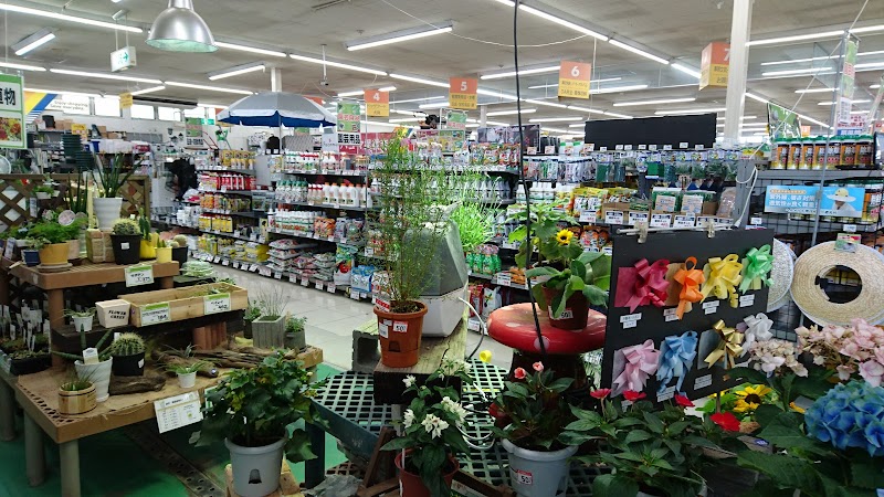 ケーヨーデイツー 御殿場店 静岡県御殿場市新橋 ホームセンター ホームセンター グルコミ