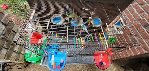 Pet Supply Store «Pet Supplies Plus», reviews and photos, 209 Towne Dr, Elizabethtown, KY 42701, USA