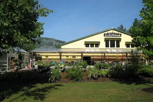 Lucy Hardware, 239 Route 16, Intervale, NH image