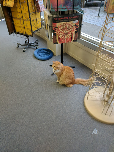 Book Store «The Book Bin», reviews and photos, 450 Court St NE, Salem, OR 97301, USA