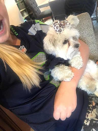 Pet Store «Puppy Boutique Store», reviews and photos, 4001 N Federal Hwy, Fort Lauderdale, FL 33308, USA