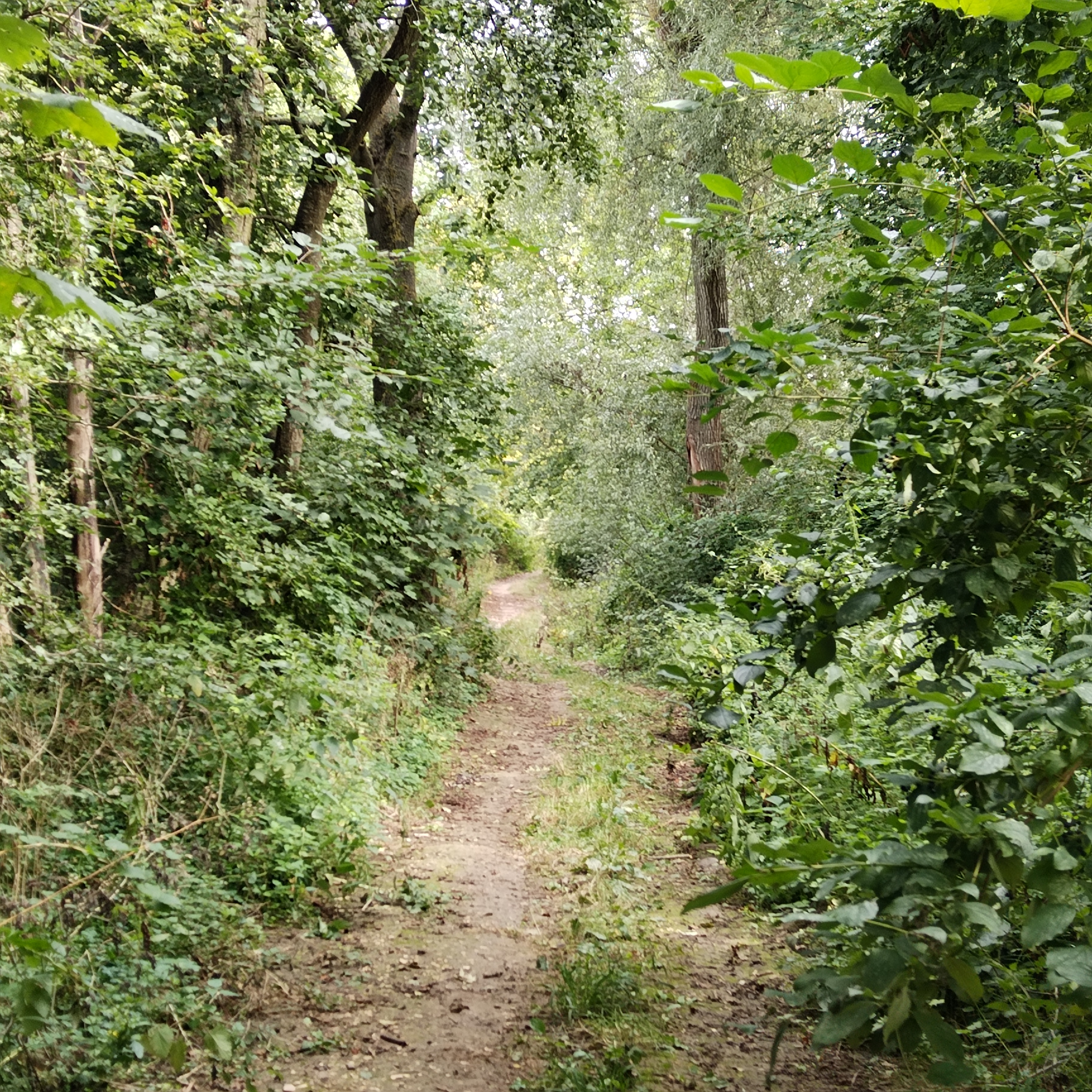 Photo n° 11 de l'avis de Maurice.O fait le 22/06/2022 à 15:49