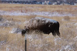 Rocky Mountain Arsenal National Wildlife Refuge image