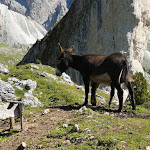 Photo n°2 de l'avis de Klaus-Peter.e fait le 07/09/2019 à 15:44 sur le  Malga Pieralongia Alm à Santa Cristina Gherdëina