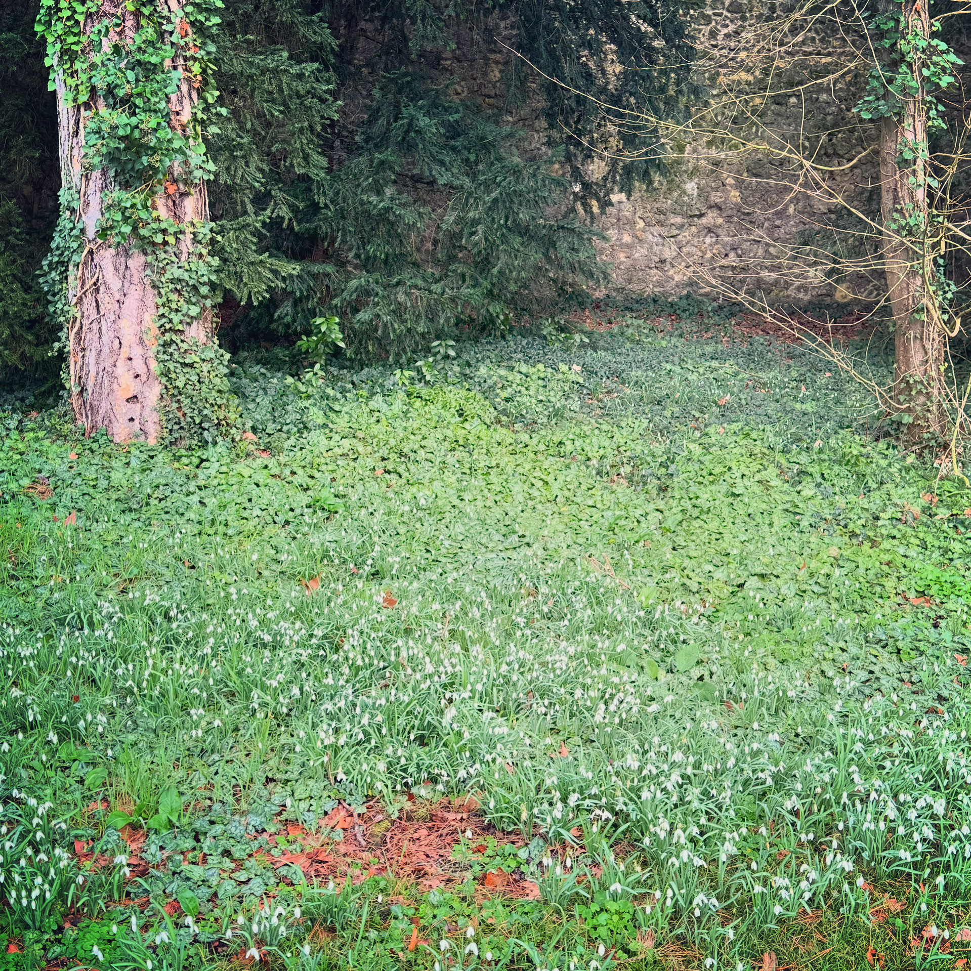 Photo n° 6 de l'avis de Daniel.e fait le 21/02/2024 à 22:23