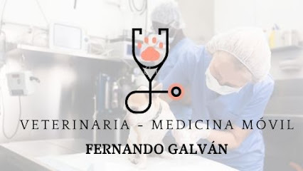 Veterinaria - Medicina Movil Fernando Galvan