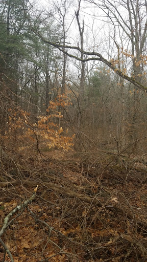 Nickel Mine Conservation Land