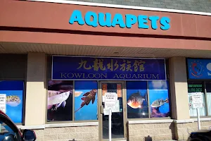Kowloon aquarium (aquapets) image