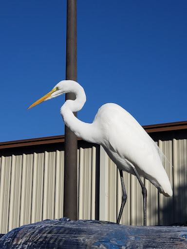 Hardware Store «South Leesburg Ace Hardware», reviews and photos, 27649 US-27, Leesburg, FL 34748, USA