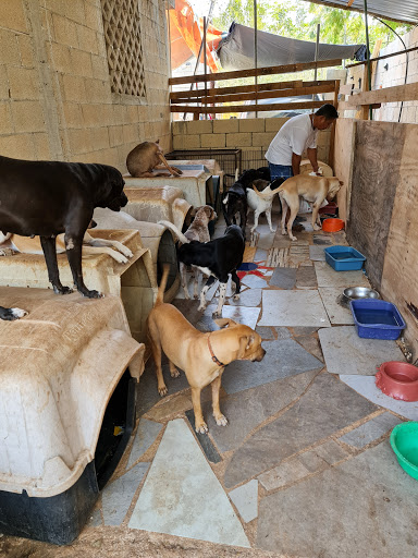 CACHORRILANDIA CANCÚN