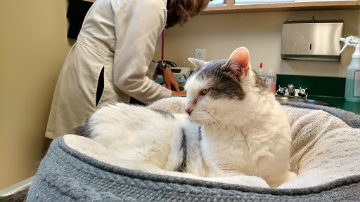 3842 Stone Way N, Seattle, WA 98103, USA