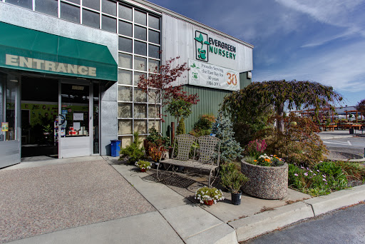 Evergreen Nursery - The Bay's Friendly Garden Experts