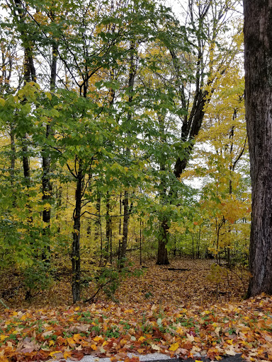 Ski Resort «Sugar Mountain Resort, Inc.», reviews and photos, 1009 Sugar Mountain Dr, Sugar Mountain, NC 28604, USA