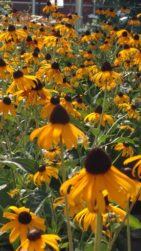 Garden Center «Agriventures Agway», reviews and photos, 126 Housatonic Ave, New Milford, CT 06776, USA