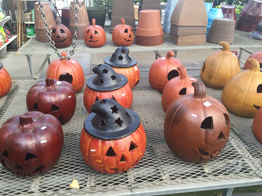 Florist «Pletschers», reviews and photos, 641 Old Hwy 8 SW, New Brighton, MN 55112, USA