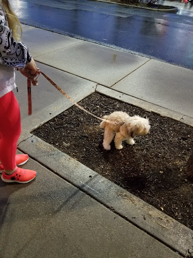 Pet Supply Store «PetSmart», reviews and photos, 10329 S State St, Sandy, UT 84070, USA