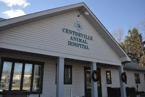 VCA Centreville Animal Hospital image