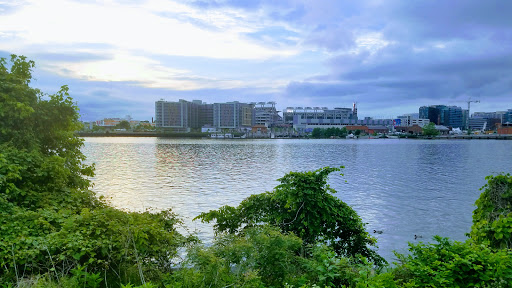 Park «Anacostia Park», reviews and photos, 1900 Anacostia Dr, Washington, DC 20020, USA