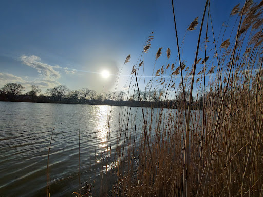 Park «Baisley Pond Park», reviews and photos, Baisley Blvd, Jamaica, NY 11434, USA