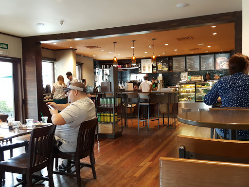 Coffee shops to work in San Jose