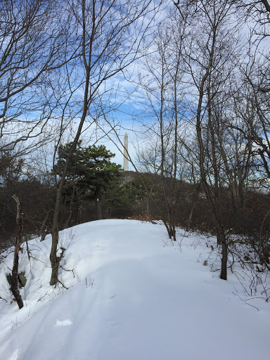 Ski Resort «High Point Cross Country Ski Center», reviews and photos, 1480 NJ-23, Sussex, NJ 07461, USA