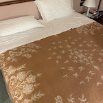 Photo n°1 de l'avis de Diana. fait le 19/04/2024 à 21:03 sur le  Hotel Diana à Valdobbiadene