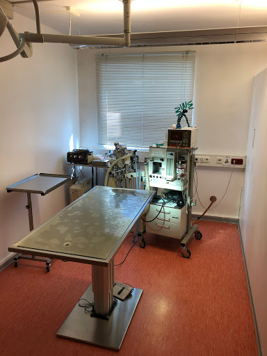 Der Tierdoktor - Dr. Oliver Dietrich unter Stadtbergen, 