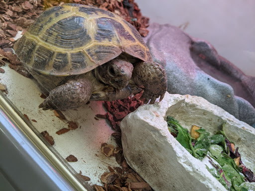 Pet Supply Store «Pet Supplies Plus», reviews and photos, 15880 San Carlos Blvd Ste 190, Fort Myers, FL 33908, USA