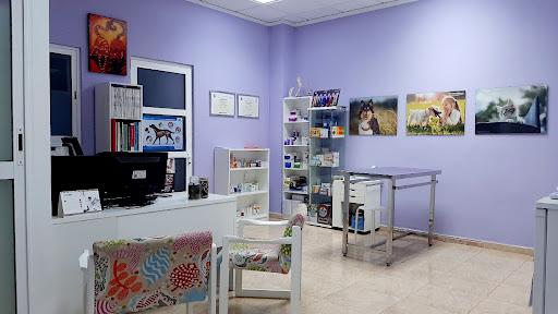 Vernissavet Centre Veterinari en Ador